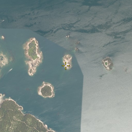 Aerial/Satellite Image of The Triangles, ME