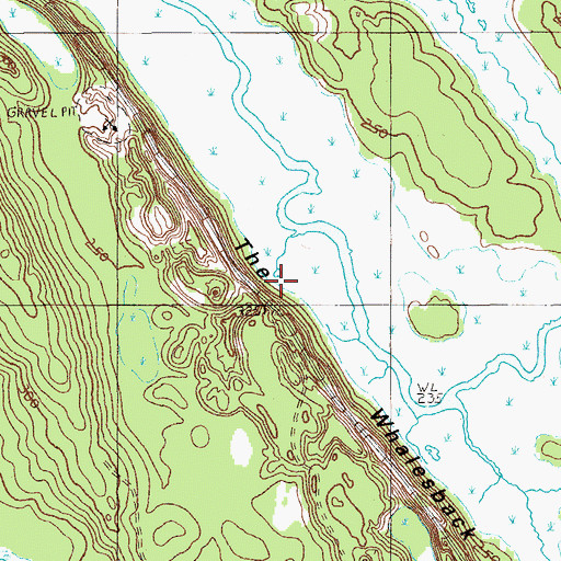 Topographic Map of The Whalesback, ME