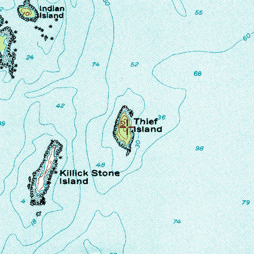 Topographic Map of Thief Island, ME