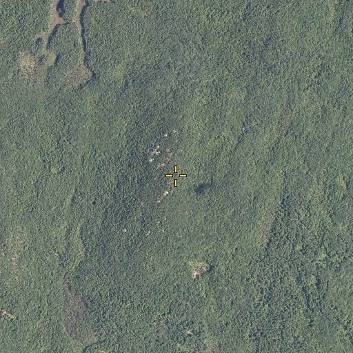 Aerial/Satellite Image of Third Hill, ME
