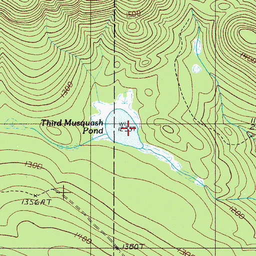 Topographic Map of Third Musquash Pond, ME