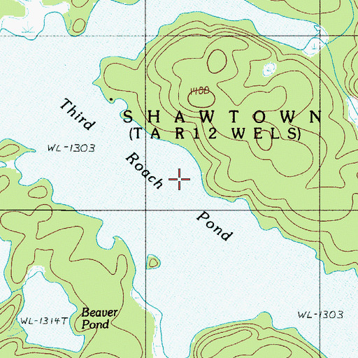 Topographic Map of Third Roach Pond, ME