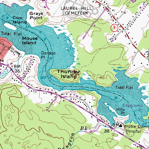 Topographic Map of Thunder Island, ME
