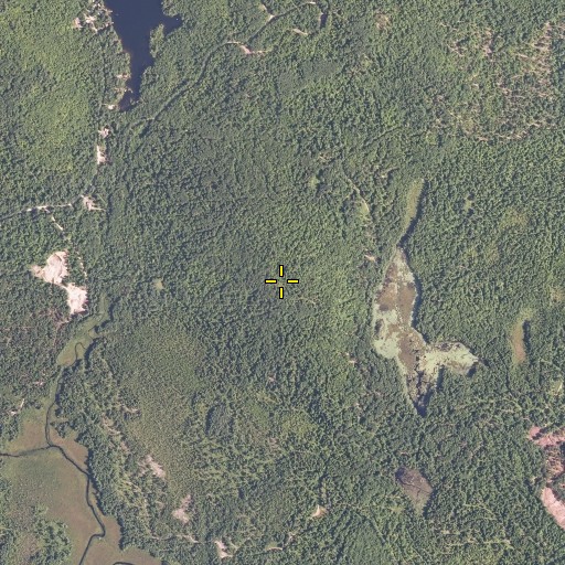 Aerial/Satellite Image of Tiger Hill, ME