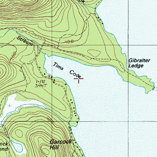 Topographic Map of Tims Cove, ME