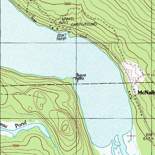 Topographic Map of Togue Point, ME