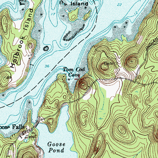 Topographic Map of Tom Cod Cove, ME