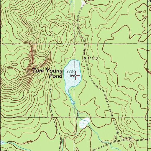 Topographic Map of Tom Young Pond, ME