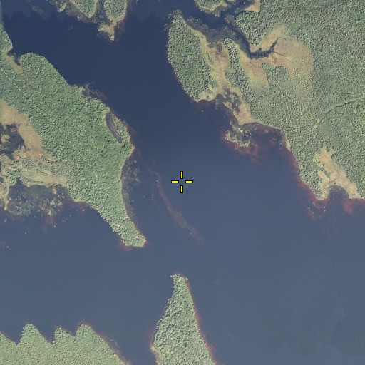 Aerial/Satellite Image of Tomah Stream, ME
