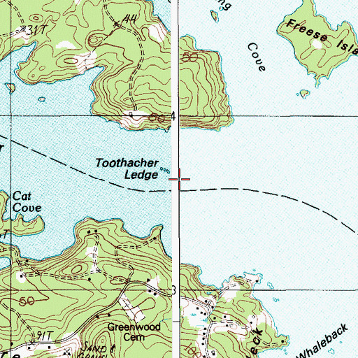 Topographic Map of Toothacher Ledge, ME