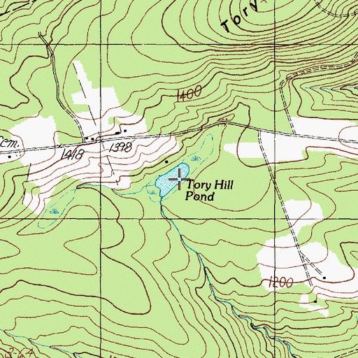 Topographic Map of Tory Hill Pond, ME