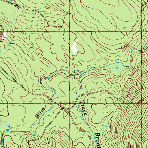 Topographic Map of Trask Brook, ME