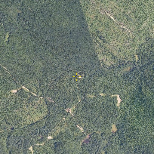 Aerial/Satellite Image of Trask Brook, ME