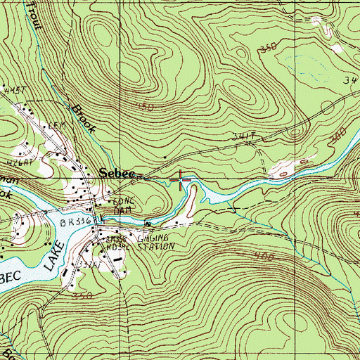 Topographic Map of Trout Brook, ME