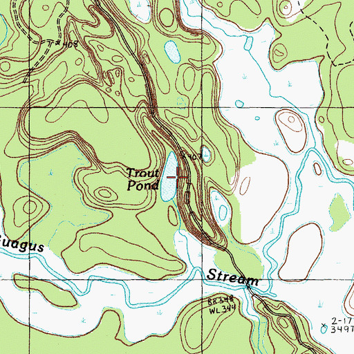 Topographic Map of Trout Pond, ME