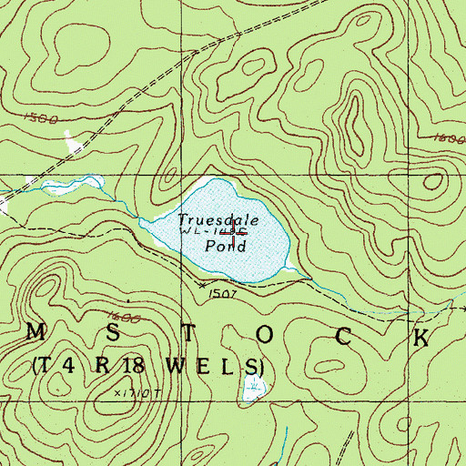 Topographic Map of Truesdale Pond, ME