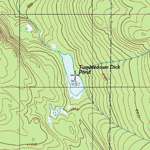 Topographic Map of Tumbledown Dick Pond, ME