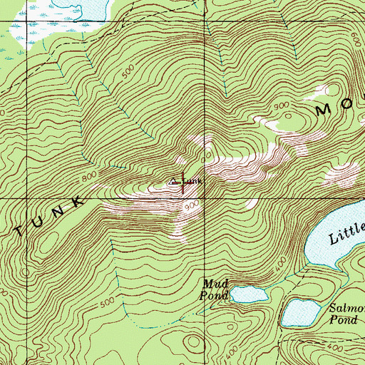 Topographic Map of Tunk Mountain, ME