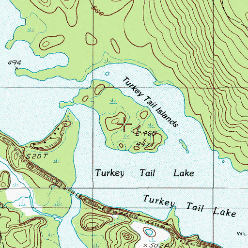 Topographic Map of Turkey Tail Islands, ME