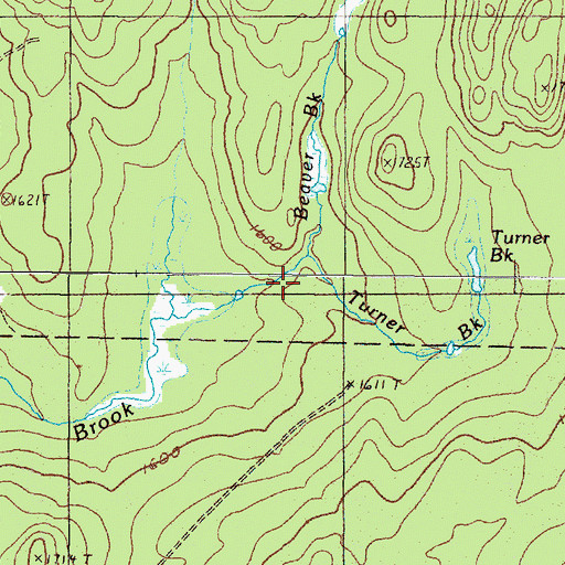 Topographic Map of Turner Brook, ME
