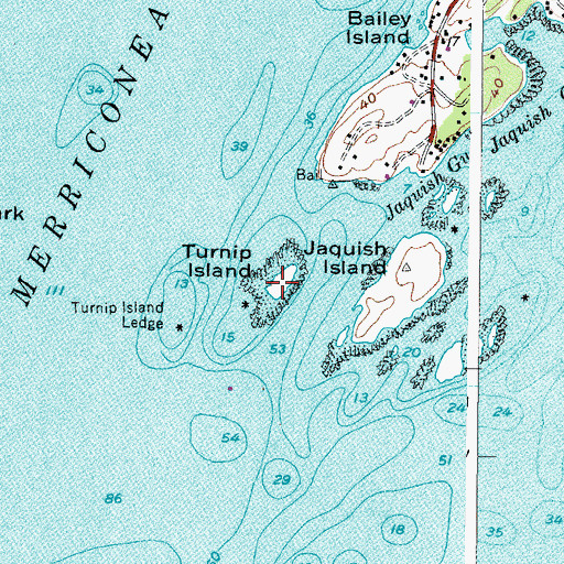 Topographic Map of Turnip Island, ME