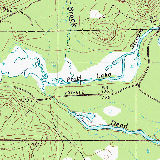 Topographic Map of Twentyfive Mile Brook, ME