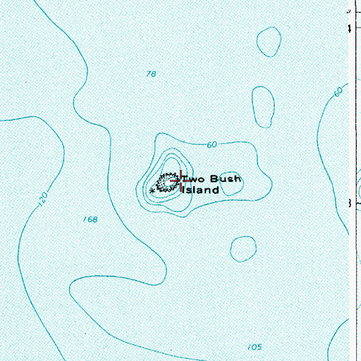 Topographic Map of Two Bush Island, ME