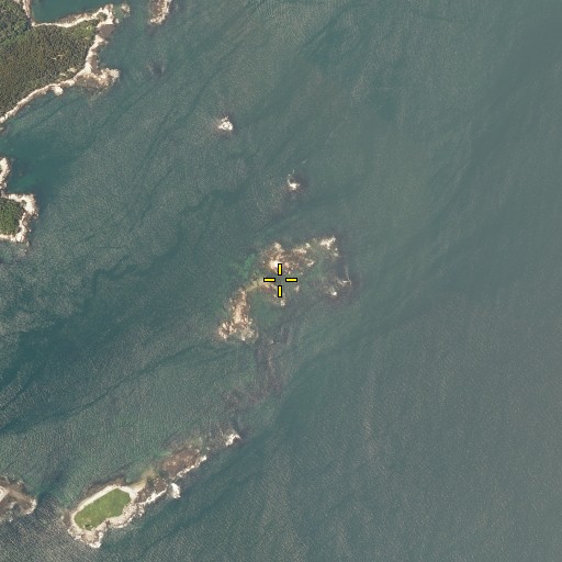 Aerial/Satellite Image of Two Bush Reef, ME