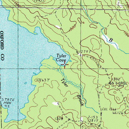 Topographic Map of Tyler Brook, ME