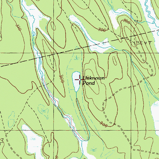 Topographic Map of Unknown Pond, ME