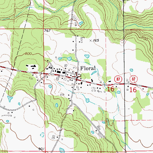 Topographic Map of Floral, AR