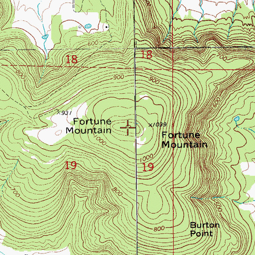 Topographic Map of Fortune Mountain, AR