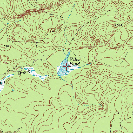 Topographic Map of Viles Pond, ME