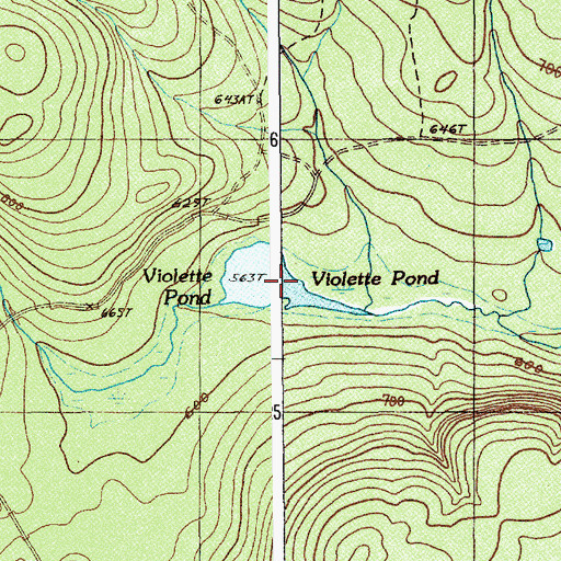 Topographic Map of Violette Pond, ME