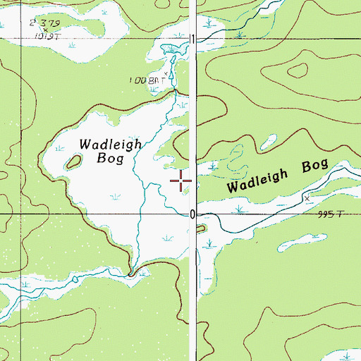 Topographic Map of Wadleigh Bog, ME