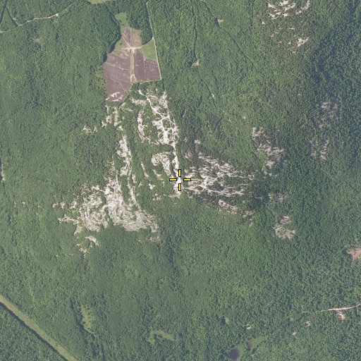 Aerial/Satellite Image of Mount Waldo, ME