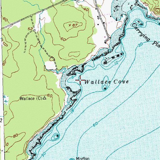 Topographic Map of Wallace Cove, ME