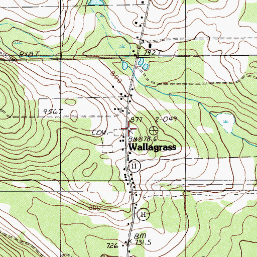 Topographic Map of Wallagrass, ME