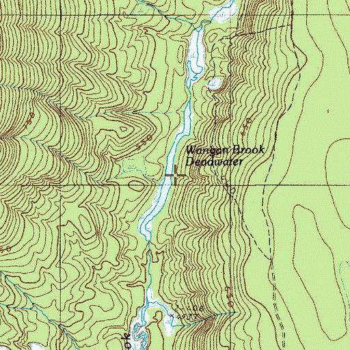 Topographic Map of Wangan Brook Deadwater, ME