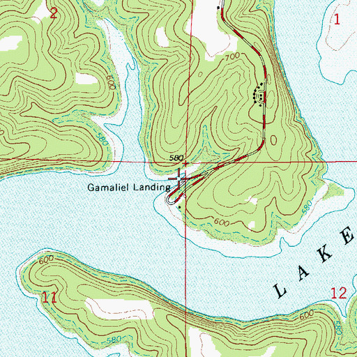 Topographic Map of Gamaliel Landing, AR