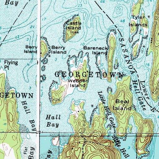 Topographic Map of Webber Island, ME