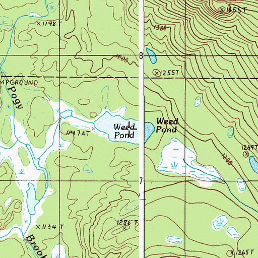 Topographic Map of Weed Pond, ME