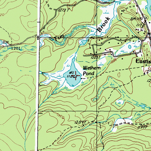 Topographic Map of Wethern Pond, ME