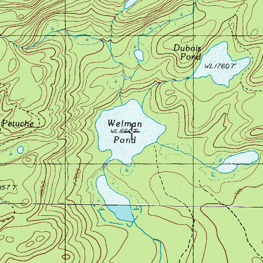 Topographic Map of Welman Pond, ME