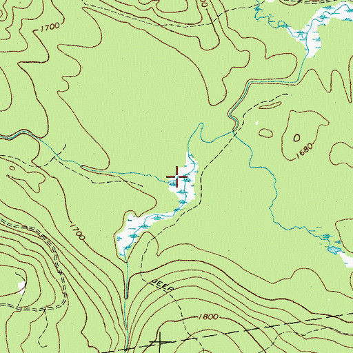 Topographic Map of West Branch Alder Stream, ME