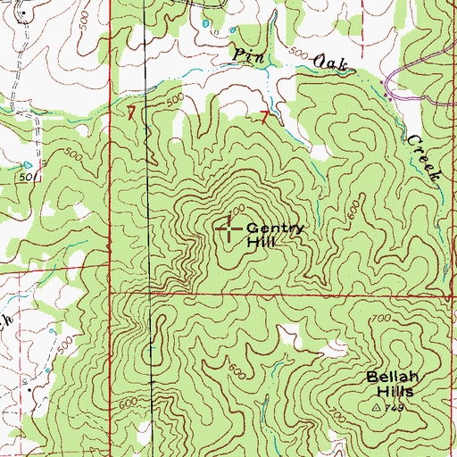 Topographic Map of Gentry Hill, AR