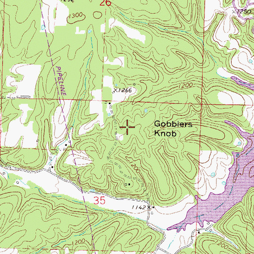 Topographic Map of Gobblers Knob, AR