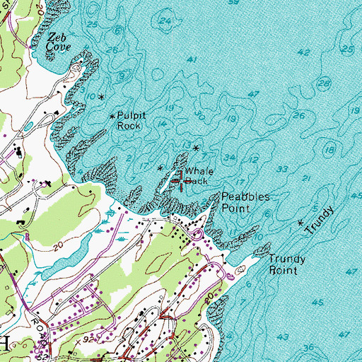 Topographic Map of Whale Back, ME