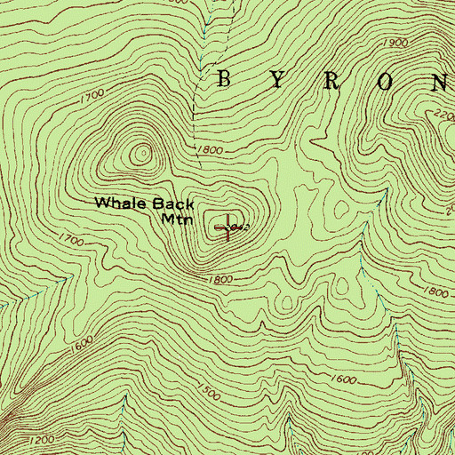 Topographic Map of Whale Back Mountain, ME