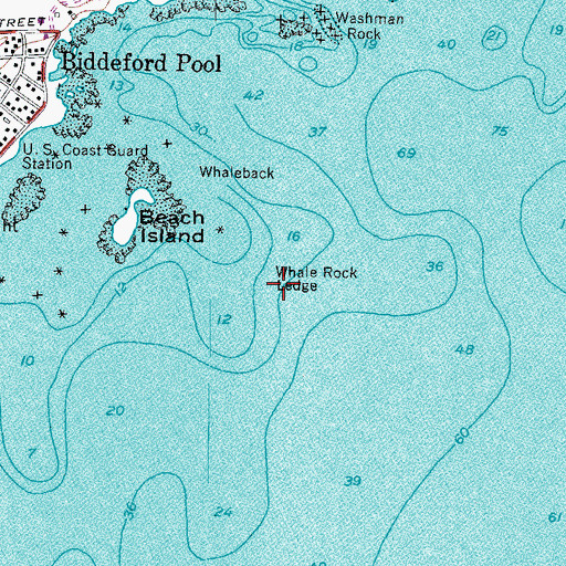 Topographic Map of Whale Rock Ledge, ME